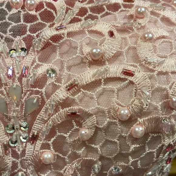 EUC Sz 12 Envious Couture 2 piece pink lace & taffeta prom dress gown -  www.bizzbeepk.com